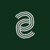 Felsina